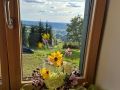 Blick aus Appartmentfenster